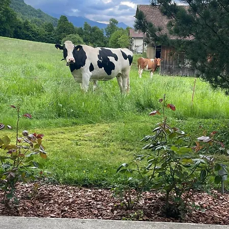 Kiwi - Mountain Views & Cozy Nz Vibes Lägenhet Ringgenberg