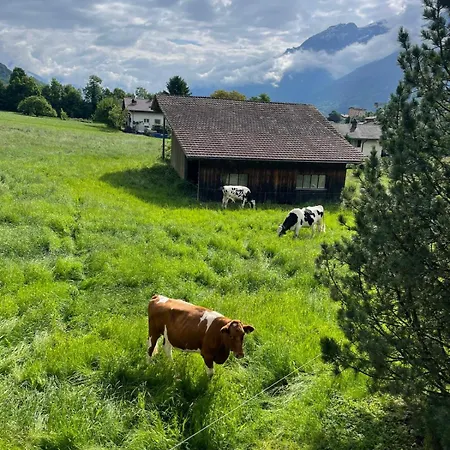 Kiwi - Mountain Views & Cozy Nz Vibes Διαμέρισμα Ringgenberg