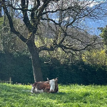 Kiwi - Mountain Views & Cozy Nz Vibes *