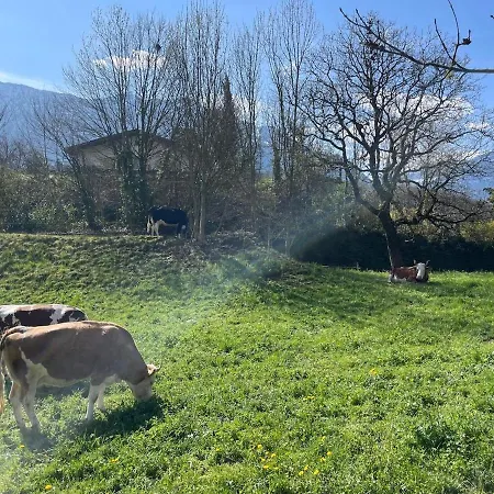 Διαμέρισμα Kiwi - Mountain Views & Cozy Nz Vibes Ringgenberg