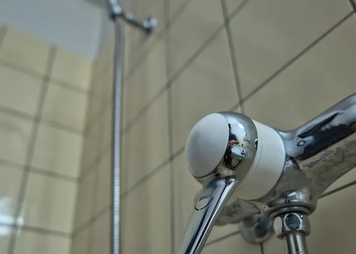 Kiwi - Mountain Views & Cozy Nz Vibes 公寓 里根伯格