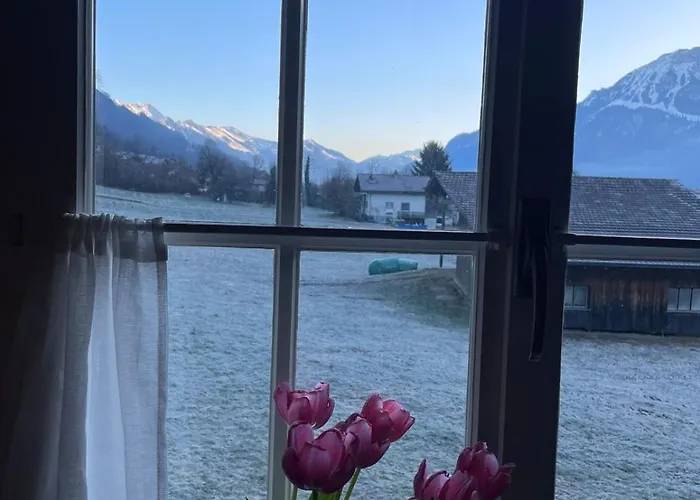 Kiwi - Mountain Views & Cozy Nz Vibes 公寓 *