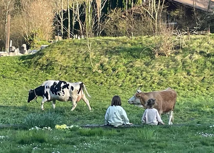 公寓 Kiwi - Mountain Views & Cozy Nz Vibes