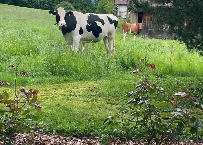 Kiwi - Mountain Views & Cozy Nz Vibes 公寓 里根伯格