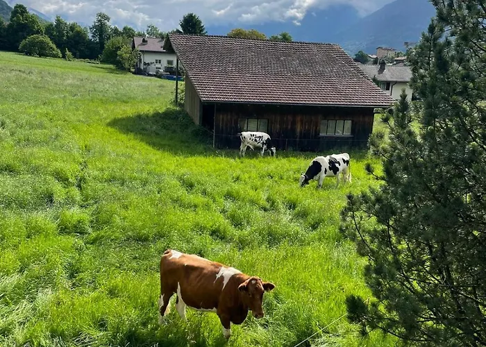 Kiwi - Mountain Views & Cozy Nz Vibes 公寓 里根伯格