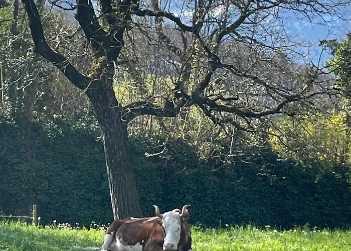Kiwi - Mountain Views & Cozy Nz Vibes *