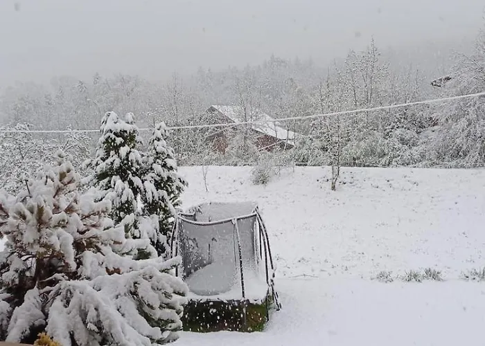 Kiwi - Mountain Views & Cozy Nz Vibes * 里根伯格