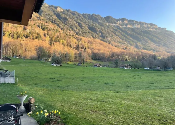 公寓 Kiwi - Mountain Views & Cozy Nz Vibes