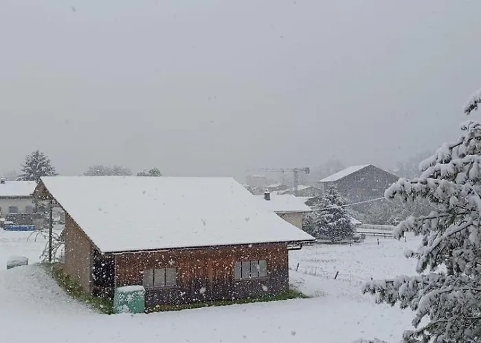 公寓 Kiwi - Mountain Views & Cozy Nz Vibes *