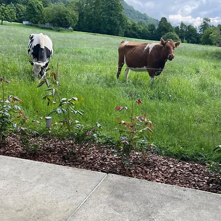 Kiwi - Mountain Views & Cozy Nz Vibes *