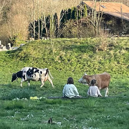 דירה Kiwi - Mountain Views & Cozy Nz Vibes